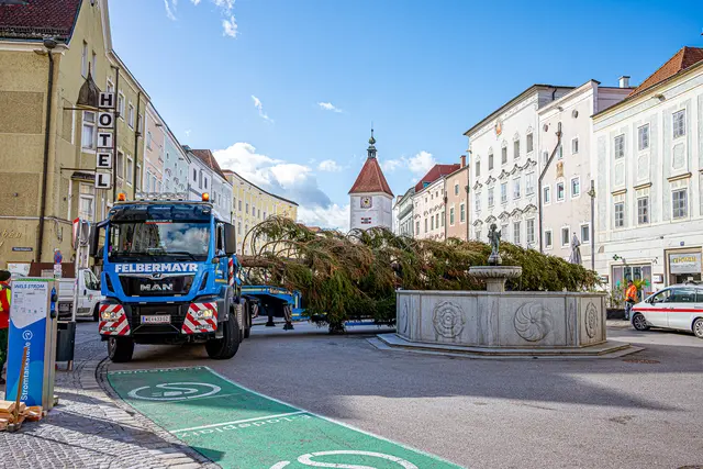 Mit dem Sondertransport kam der Baum für die europäische Weihnachtshauptstadt auf den Stadtplatz. | Foto: Stadt Wels
