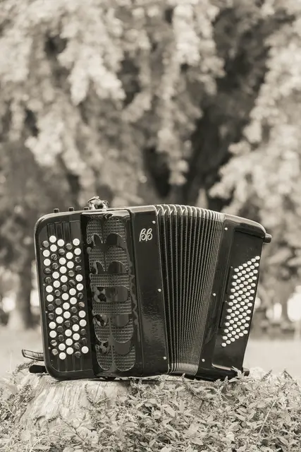 Auch zünftige Ziehharmonika-Klänge gehörten dazu. | Foto: Robert Cavlovic/Unsplash