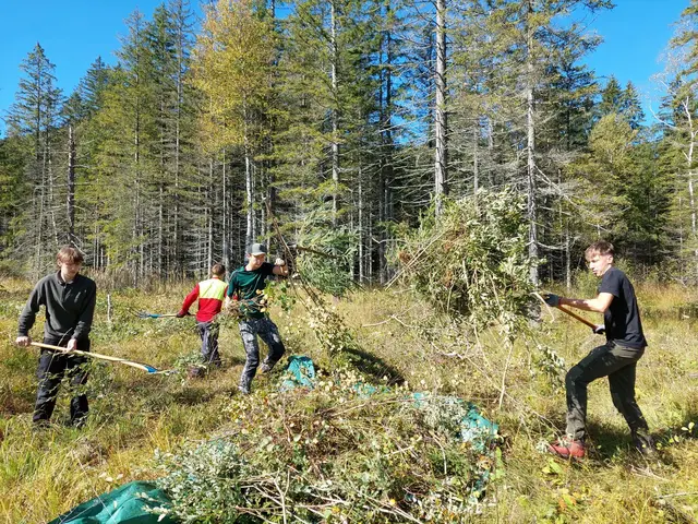 Schülerinnen und Schüler der HBLA Bruck an der Mur nahmen kürzlich an einem Moorpflegetag in Bad Mitterndorf teil. | Foto: Kuratorium Wald