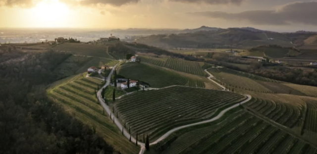 Foto: Collio