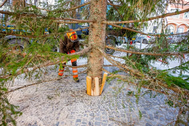 Foto: Stadt Wels