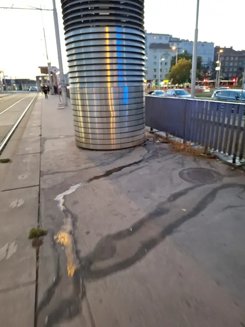 Bei der Frage, wer für die Reinigung zuständig ist, herrscht jedoch Uneinigkeit: ÖBB und Stadt Wien sehen jeweils die andere Seite in der Verantwortung. | Foto: Antonio Šećerović/MeinBezirk