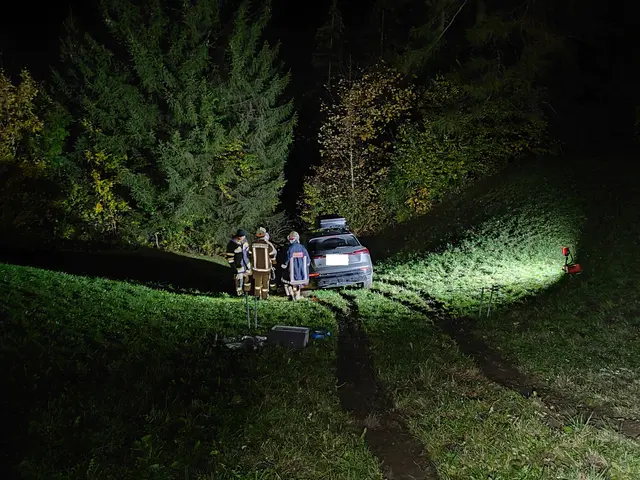 Die FF Finkenberg rückte zu dem abgestürzten Fahrzeug aus.  | Foto: ZOOM-Tirol
