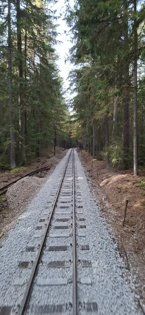 Sanierter Gleisabschnitt im Langegger Wald | Foto: Waldviertler Schmalspurbahnverein