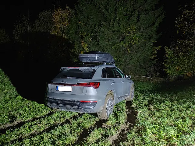 Das Fahrzeug rutschte etwa 100 Meter ab und kam knapp vor der Tuxbachklamm zum Stillstand.  | Foto: ZOOM-Tirol
