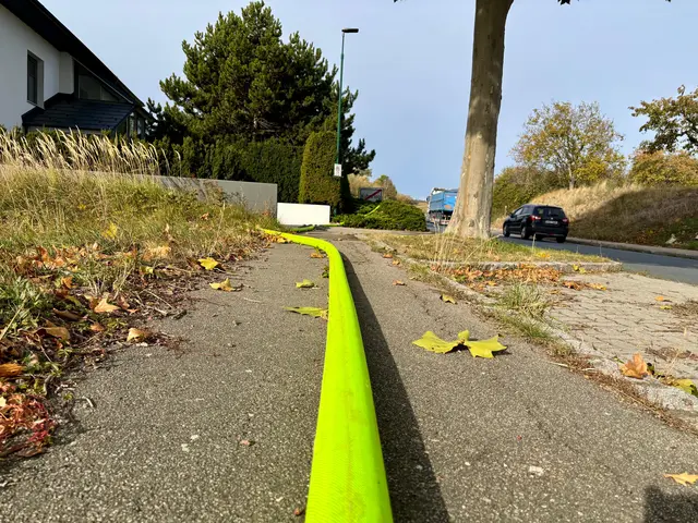 Foto: Markus Kahrer