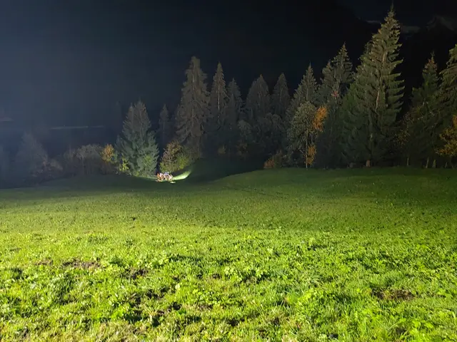 Foto: ZOOM-Tirol