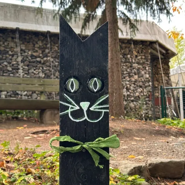... in den Kittenberger ...