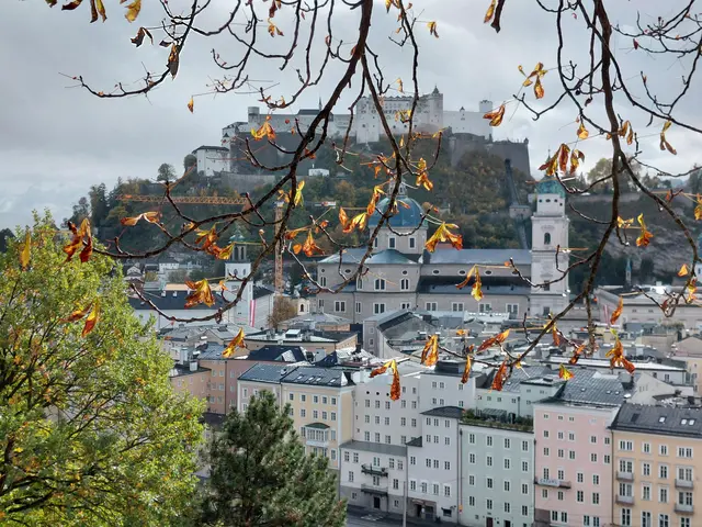 Foto: H.Bachinger