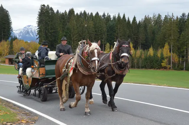 Rupert und Lisi Lottermoser vom Vorderoberlehen mit Fuchs Karo und Braun Tina.