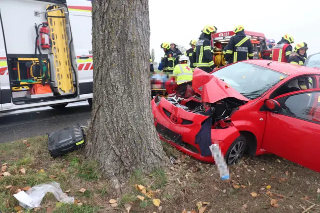 Der Lenker wurde bei dem Crash schwer verletzt. | Foto: DOKU-NÖ