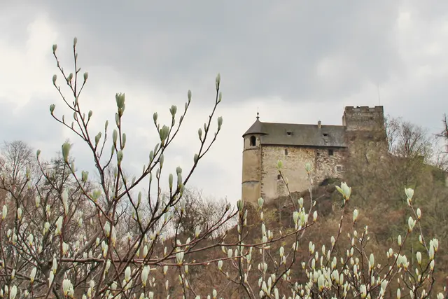 Ein historisches Juwel der Stadt: Die Burgruine Gösting wird aktuell dem Verfall preisgegeben. | Foto: Marie Ott