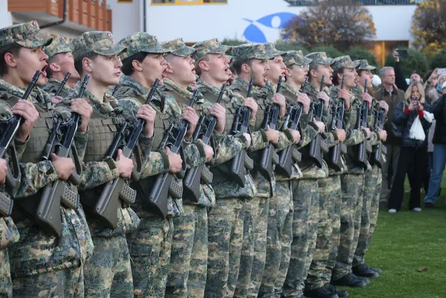 Foto: Bundesheer/Wolfgang Riedlsperger