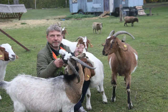 Die Tiere im Landschaftspark lieben ihren Stadtrat. | Foto: Mold