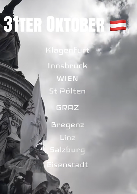 Ein Demo-Aufruf für mehrere österreichische Städte kursiert derzeit auf TikTok. | Foto: Screenshot TikTok