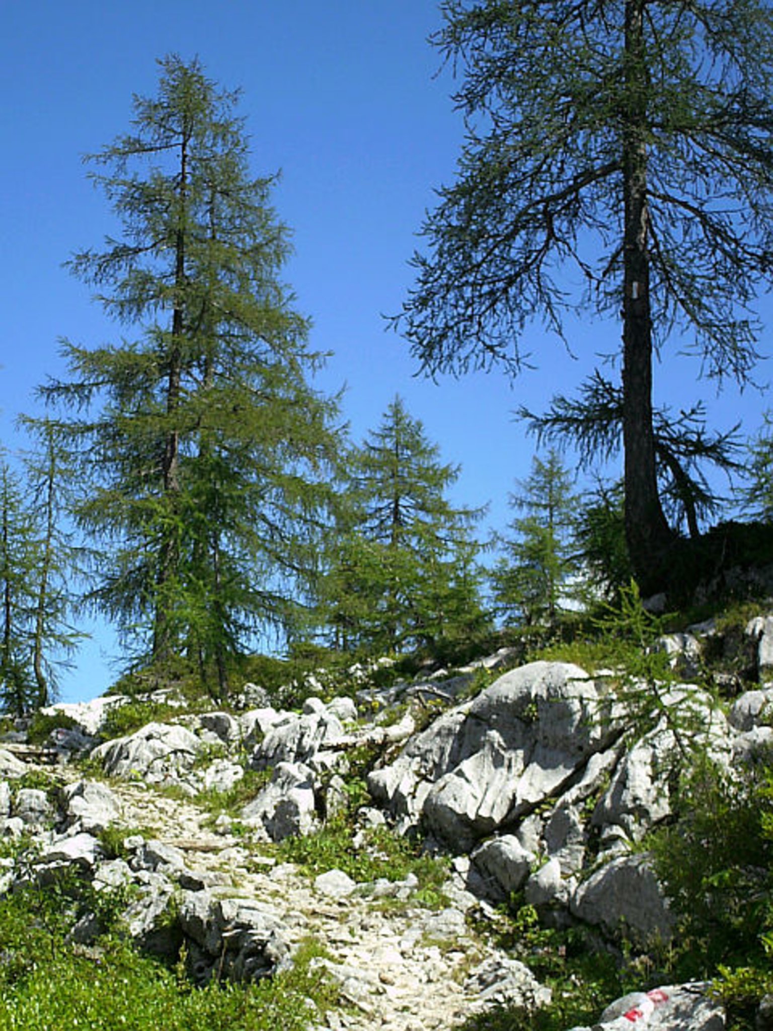 Singlewandern niederosterreich