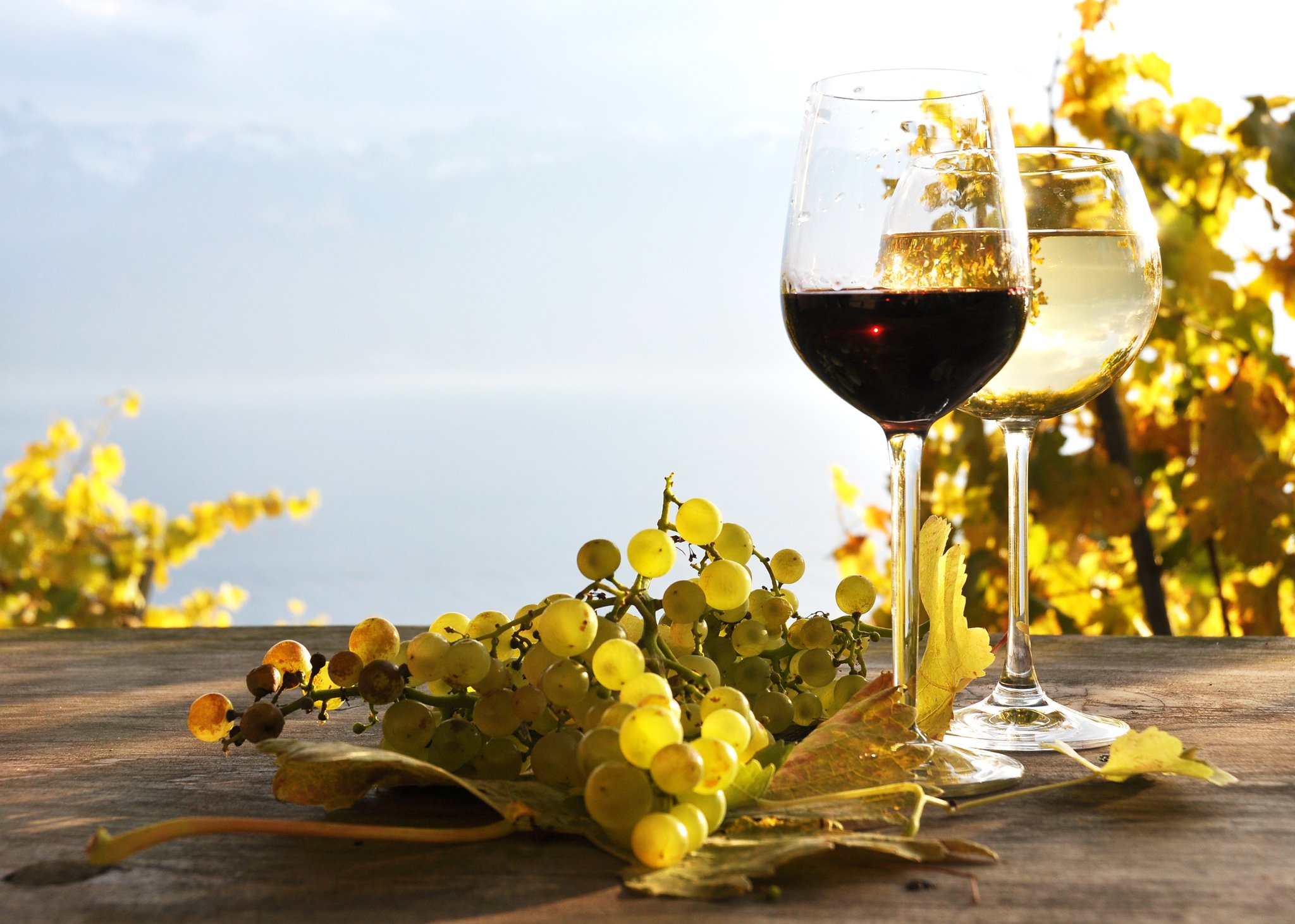 30 Steirisches Weinfest Biesenfeld