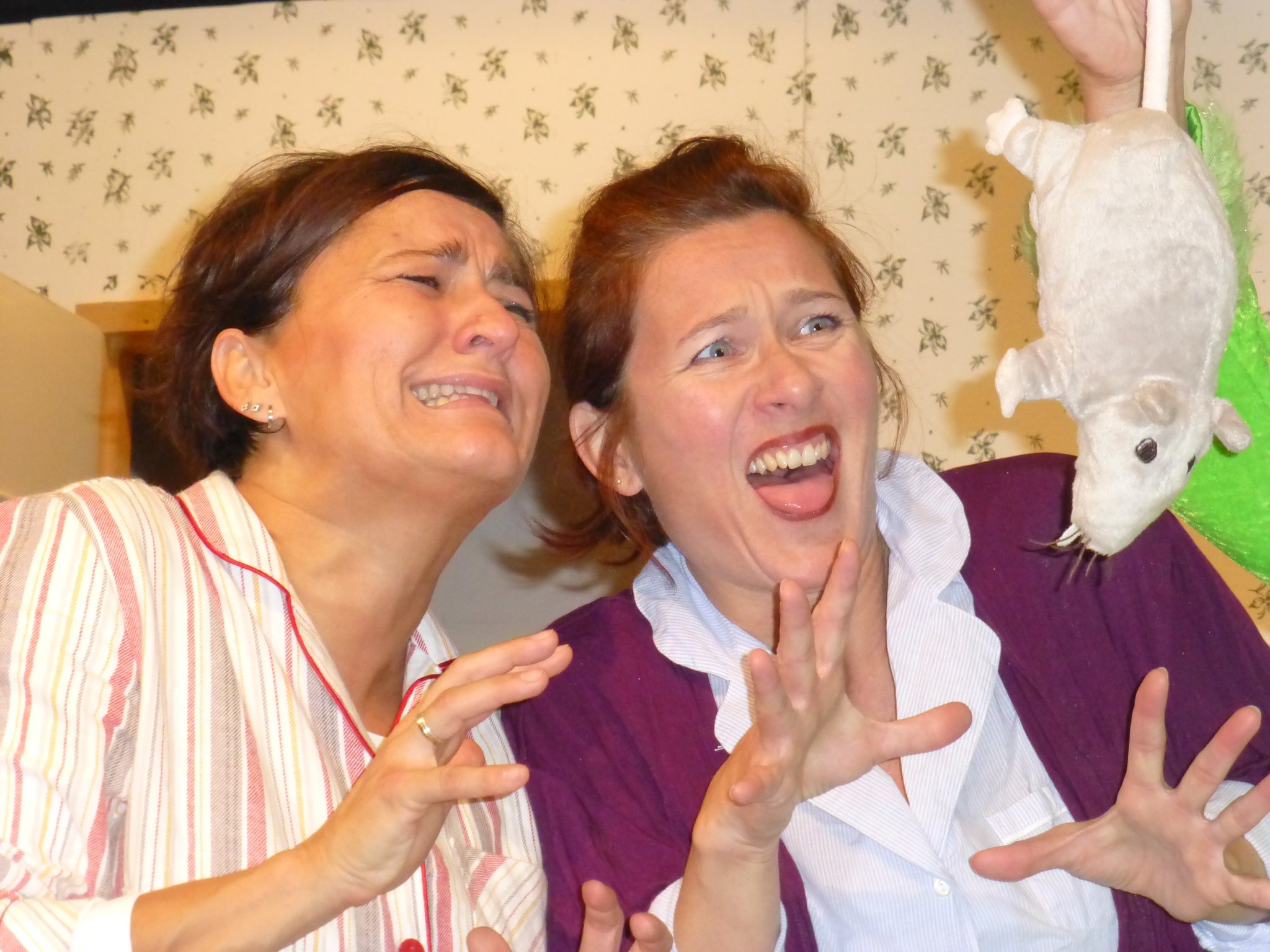 Die beliebte Bhnenfassung der Kultsendung von Ulrike und Xaver er des Amateurtheatervereins Barocktheater Lambach in Weihnachtskomdie Single Bells im Barocktheater Lambach!
