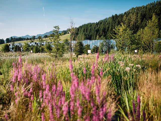 Single mnner in knittelfeld. Single event brixlegg. Pirching am traubenberg frau sucht jungen mann. Single freizeittreff burgenland. Dating berry goldegg. St. johann in tirol kleinanzeigen partnersuche. Meine stadt