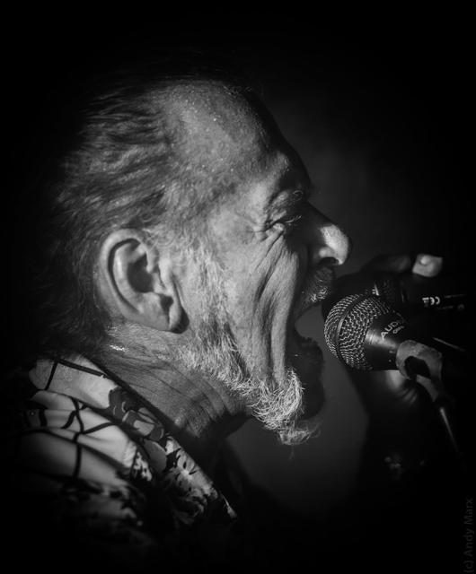 Werner Dulnigg alias Dulemann sorgt für eine "Hot Summer Night" im Gasthof Ruckenstuhl in Trofaiach.