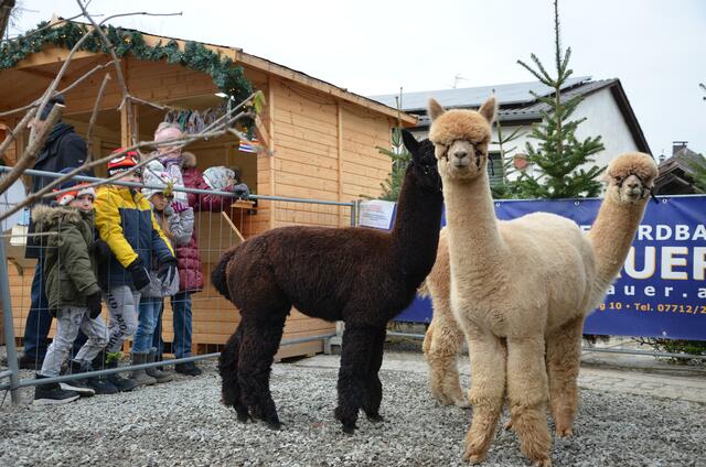 Der Schärdinger Christkindlmarkt der Familie Hanslauer findet am 10. und 11. Dezember 2022 von jeweils 14 bis 20 Uhr statt. | Foto: Familie Hanslauer