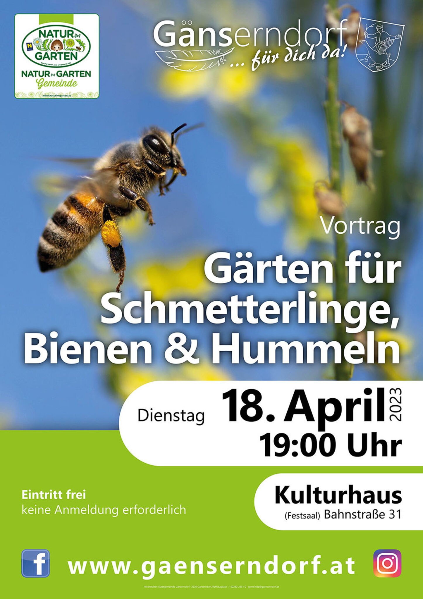 Natur im Garten Vortrag Gärten für Schmetterline, Bienen und Hummeln