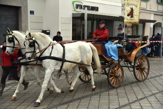 Obmann Walter Fahrnleitner ist mit seinem Gespann unterwegs.  | Foto: Gerald Dreisiebner