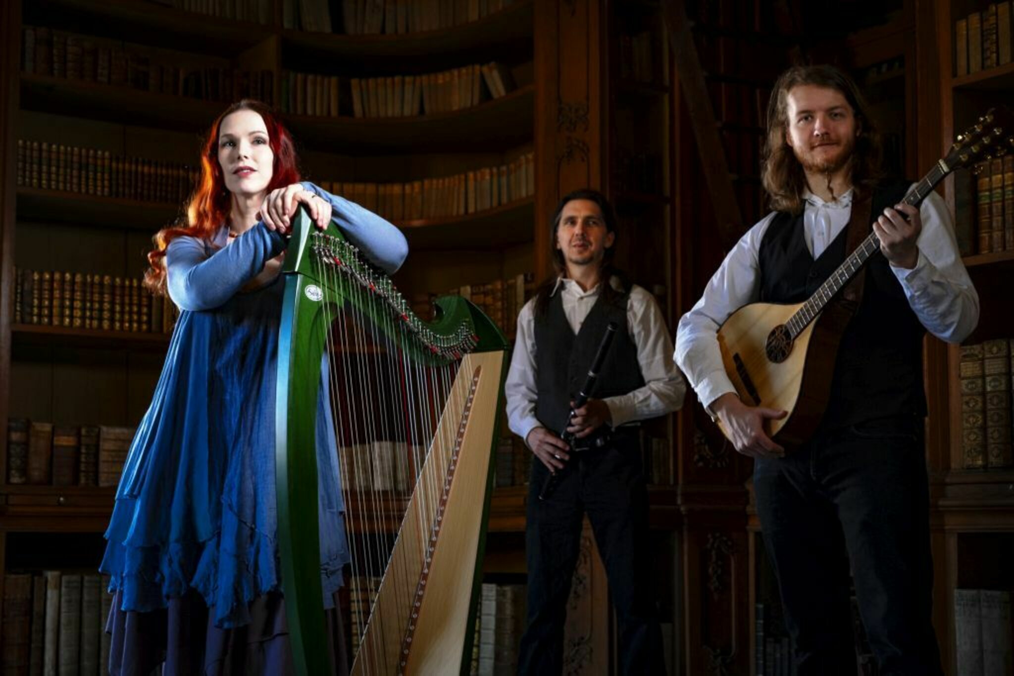 Spinning Wheel Irish Folk