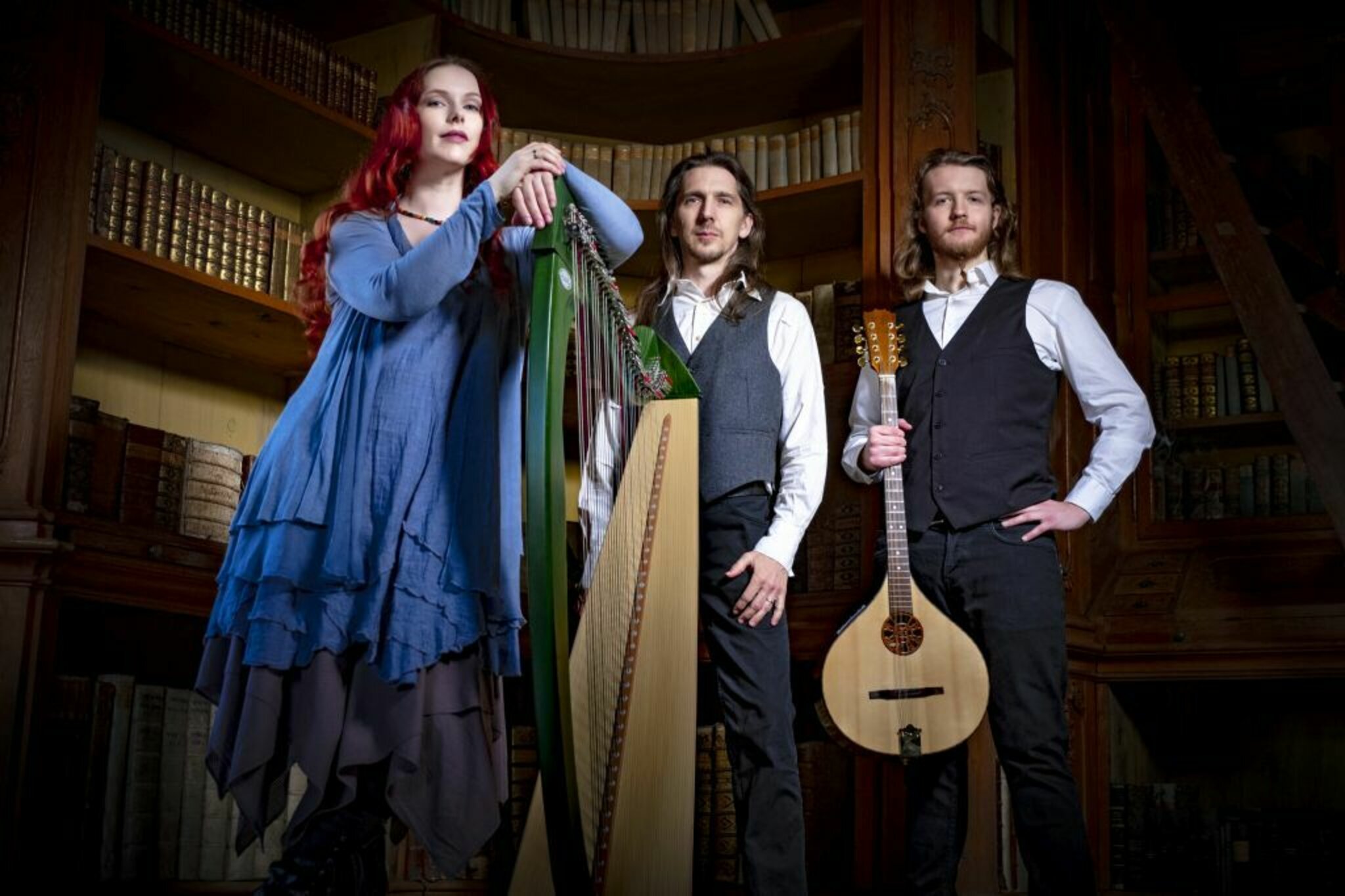 Spinning Wheel Irish Folk