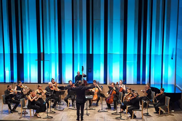 MIKAMO © Bálint Hrotkó