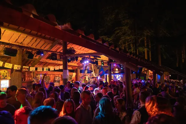 Die Waldbars beim Wildsaufest im Gewerbegebiet Schauern in St. Aegidi. Heuer steigt die Party von 18. bis 20. Juli 2025. | Foto: FF St. Aegidi