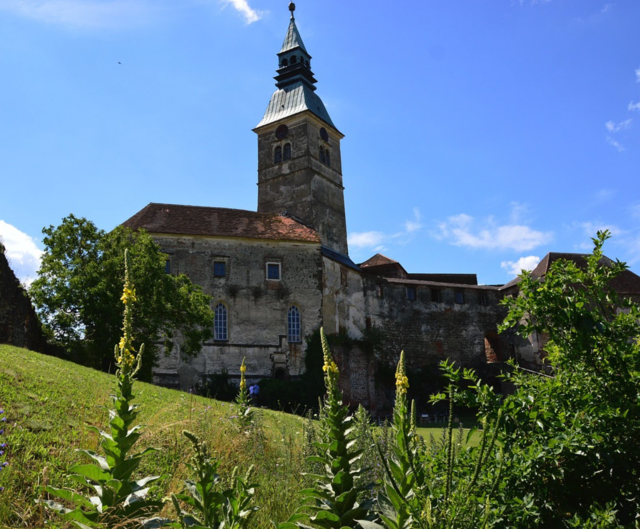 Foto: pixabay Symbolfoto