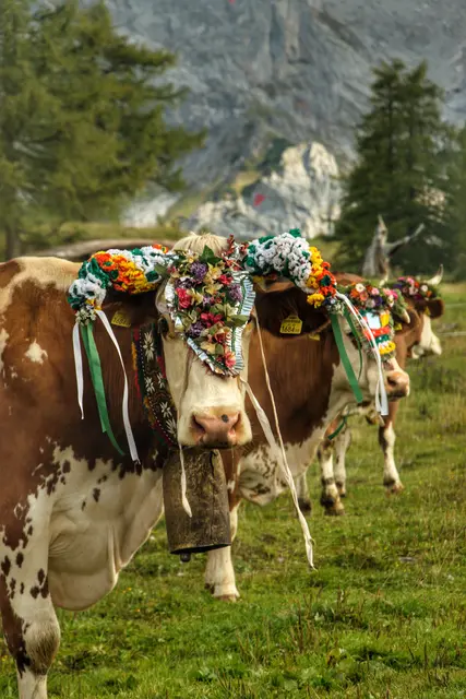Foto: Marlene Eggmayr