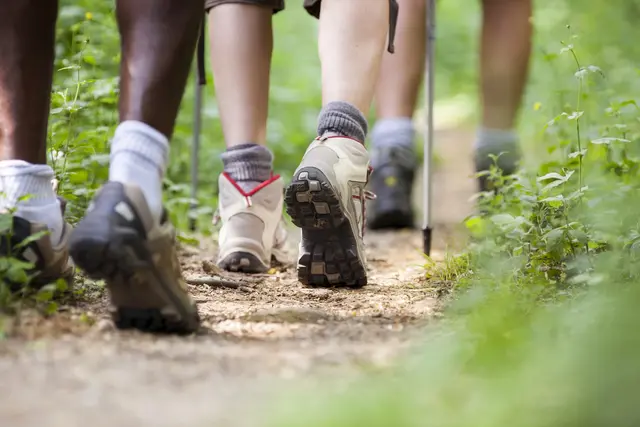 Der Herzverband veranstaltet einmal im Monat eine Wanderung. | Foto: Smarterpix/diego_cervo
