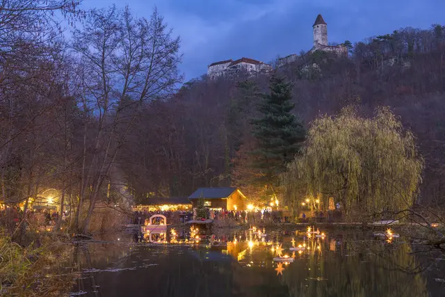 Burg & Teich bei Tag