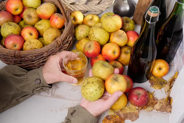 Der Saft wird in Bag-In-Boxen zu je fünf Litern abgefüllt, aber auch ein Befüllen in mitgebrachte Flaschen ist möglich. | Foto: Smarterpix/philipimage