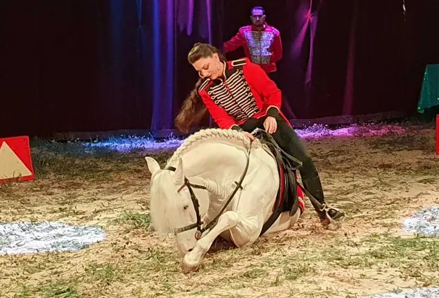 Der spanische Hengst Silvan galoppiert elegant zu spanischen Klängen durch die Manege. | Foto: Circus Althoff
