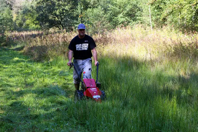 Wegen der Sumpfigkeit und Unebenheit der orchiedeenreichen Feuchtwiese Riedlbachtal kann zum Schutz der seltenen Pflanzen nicht überall schweres Gerät zum Einsatz kommen. Das Mähgut muss händisch zum nahen Fahrweg ausgebracht werden. Die Aktion findet am 10. Oktober von 13.30 bis 17 Uhr statt. | Foto: Naturschutzbund OÖ