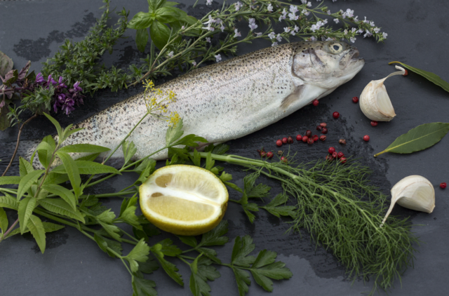 Foto: ©Tobias Schneider-Lenz