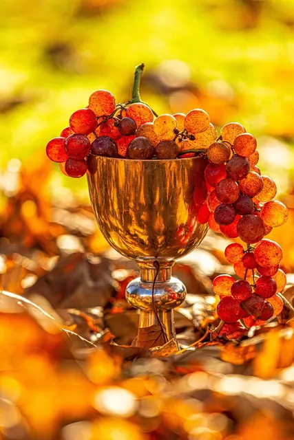 Foto: Pixabay Symolfoto