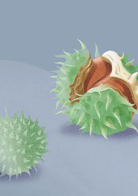 Foto: Universität Mozarteum Matthieu.RYNKIEWICZ