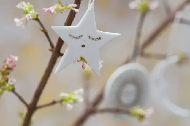 Foto: stockadobe/E. Schittenhelm 