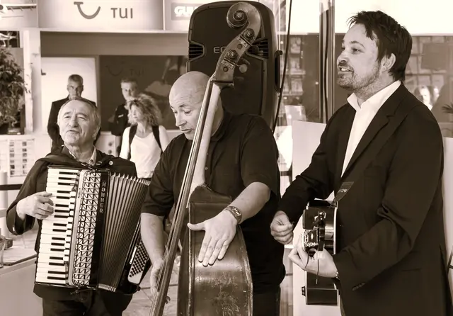 Das Rudy-Pfann-Trio aus Helfenberg. | Foto: zVg