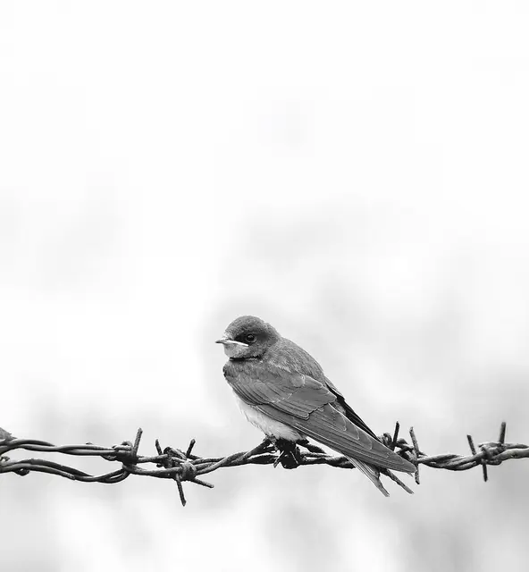 Foto: danielsfotowelt_pixabay