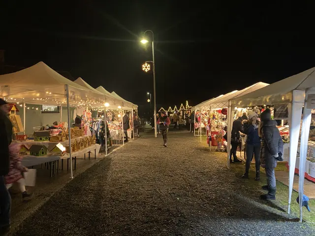 Zahlreiche Ausstellerinnen und Aussteller präsentierten sich beim Christkindlmarkt im Römerdorf Wagna. | Foto: E. Klapsch