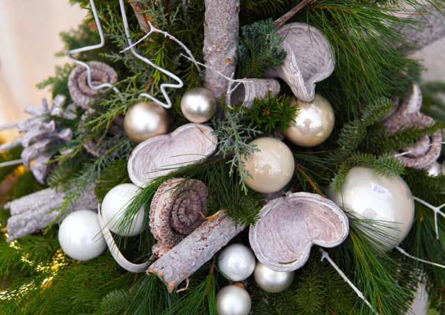 Foto: pixabay Symbolfoto