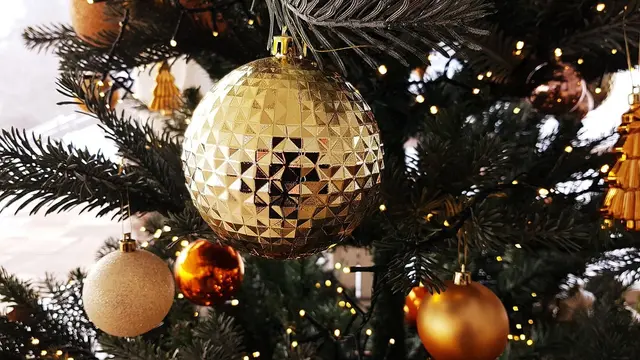 Foto: Symbolfoto: Pixabay