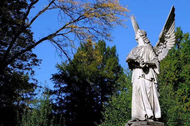 Symbolbild | Foto: Pixabay