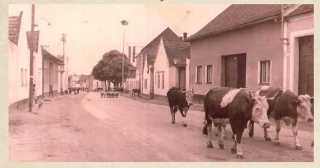 So war's damals. | Foto: Marktgemeinde Au