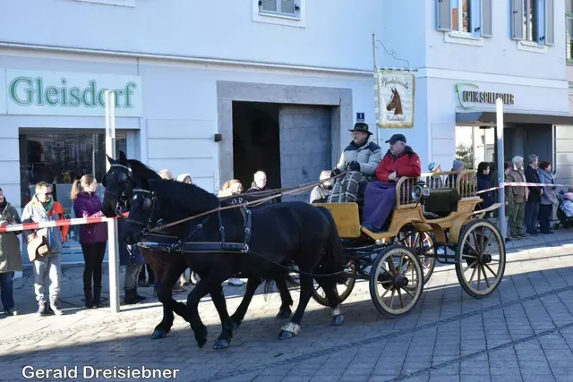 Obmann Walter Fahrnleitner als Beifahrer von Franz Eberl.bei der Pferdesegnung 2024 | Foto: Gerald Dreisiebner